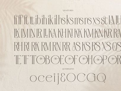 Orlevin | New Modern Serif