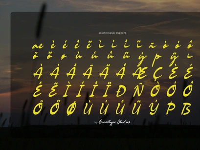 Bellford Dusktime | Retro Script