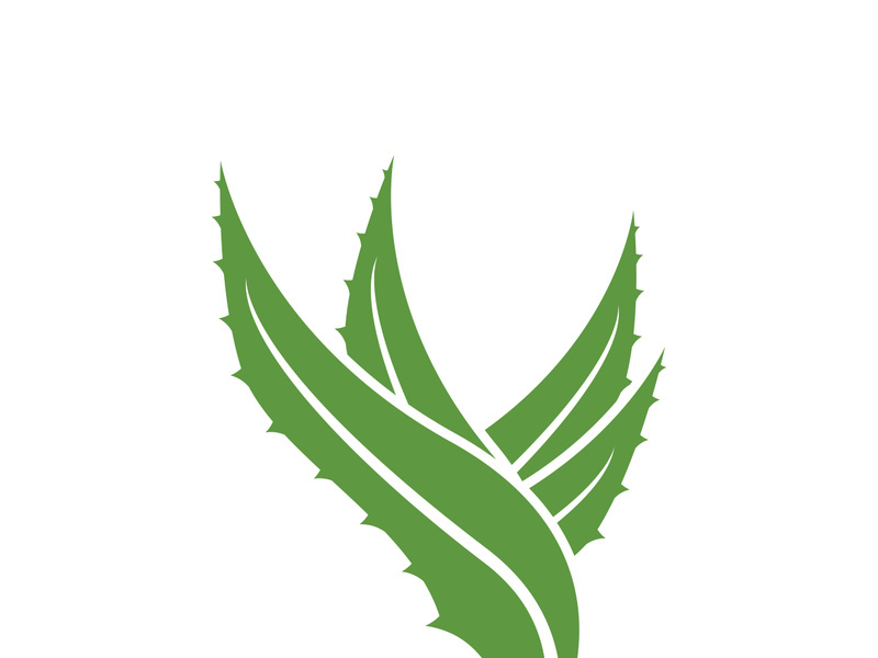 Aloe Vera logo icon design symbol beauty skin care