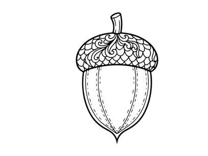 Close-up of an acorn with detailed texture. Nature-inspired botanical element for educational or environmental themes.