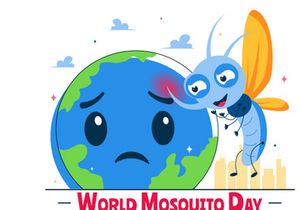 10 World Mosquito Day Illustration