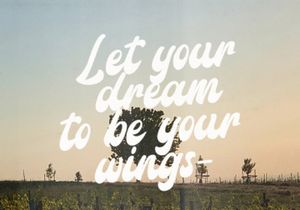 Amigos Script - Retro Bold Script Font