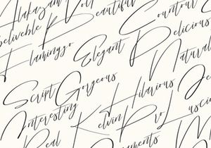 Bisqootte | Modern Calligraphy Font