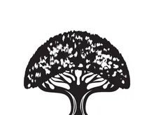 Root Leaf Family Tree of Life Oak Banyan Maple Stamp Seal Emblem Label logo design vector