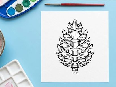 Close-up of a pine cone on a white background. Natural botanical detail for nature or holiday themes.