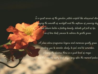 Yinderia | Handwritten Vintage Script