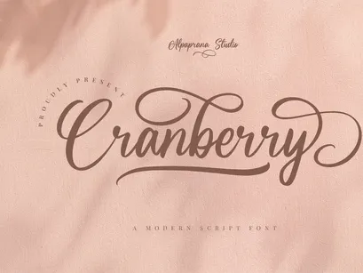 Cranberry - Modern Script Font