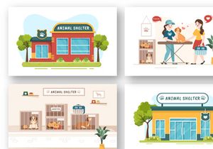 15 Animal Shelter Cartoon Illustration