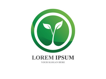 Eco leaf green tree logo template preview picture