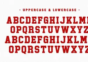 Single - Condensed Slab Serif Font