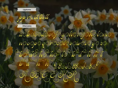 Rastiya Daffodil | Handwritten Script
