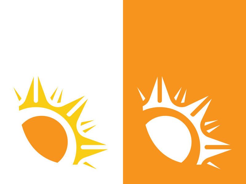 Sun vector illustration icon logo template design
