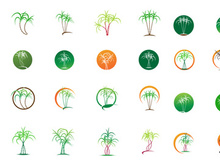 Sugar cane Logo vector