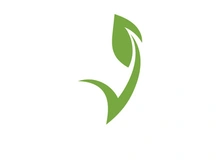 Vegan leaf green eco logo nature