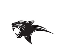 Panther head logo icon vector design template illustration