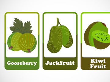 Fruit flashcards for kids. Educational cards for preschool. Printable vector illustration preview picture