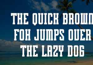 Summer Sticker - Condensed Slab Serif