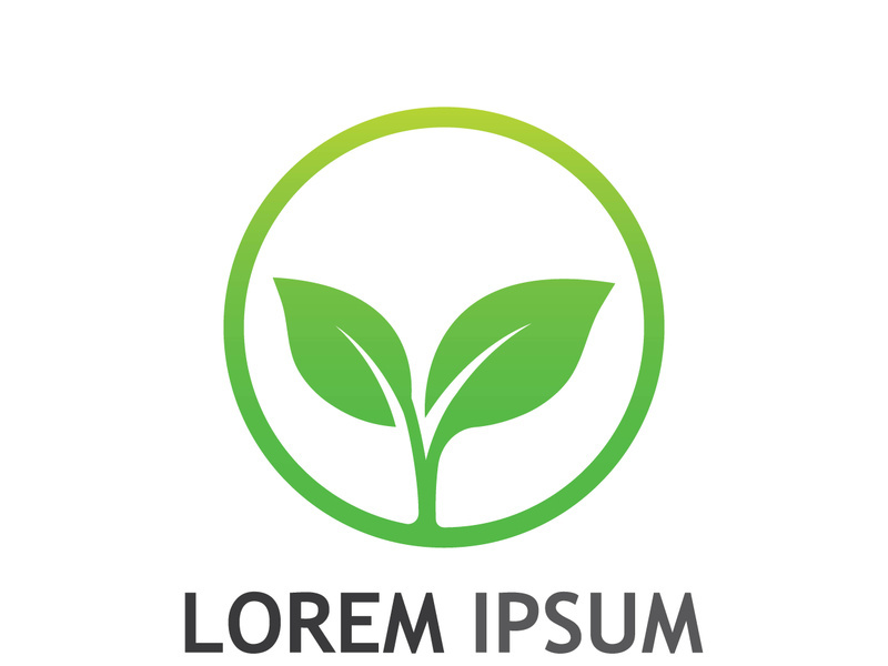 Natural green leaf logo design.