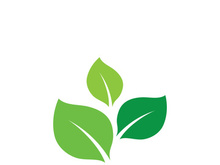leaf logo green ecology nature element vector imageleaf logo green ecology nature element vector image
