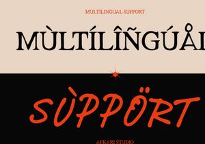 Gayalie Swimwear - Serif and Script Font Duo Typeface