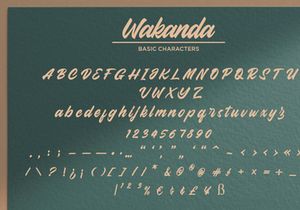Wakanda - Bold Script Font