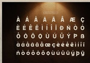 Renasfi | Vintage Sans Serif