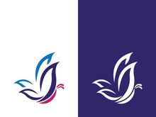 Beauty butterfly vector icon design