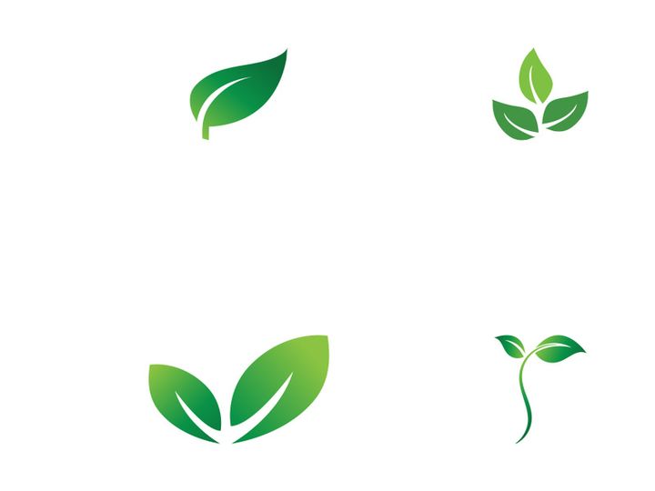 Natural green leaf logo