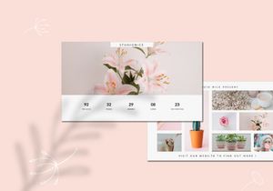 Bonita - Google Slide