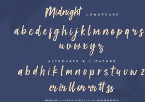 Midnight - Brush Script Font