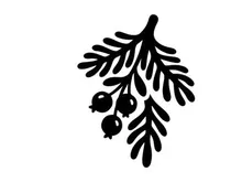 Black silhouette of a pine branch with berries for Christmas holiday design elements.