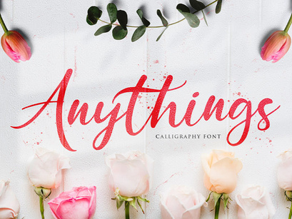 Anythings - Modern Calligraphy Font