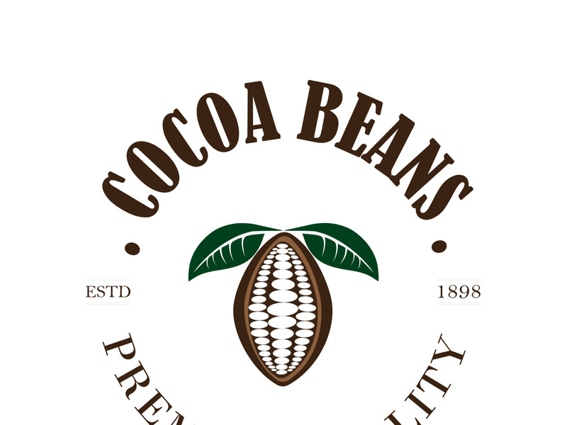 cocoa logo,cocoa bean,cocoa tree,cocoa branches and leaves,chocolate mix on white background,vintage,modern,simple,minimalist icon illustration template design vector