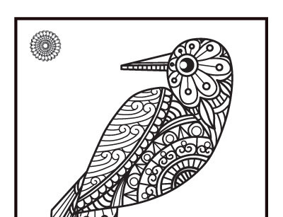 6 Bird Coloring Book Pages KDP Interior.