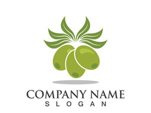 Extra virgin olive oil logo icon design vector illustration