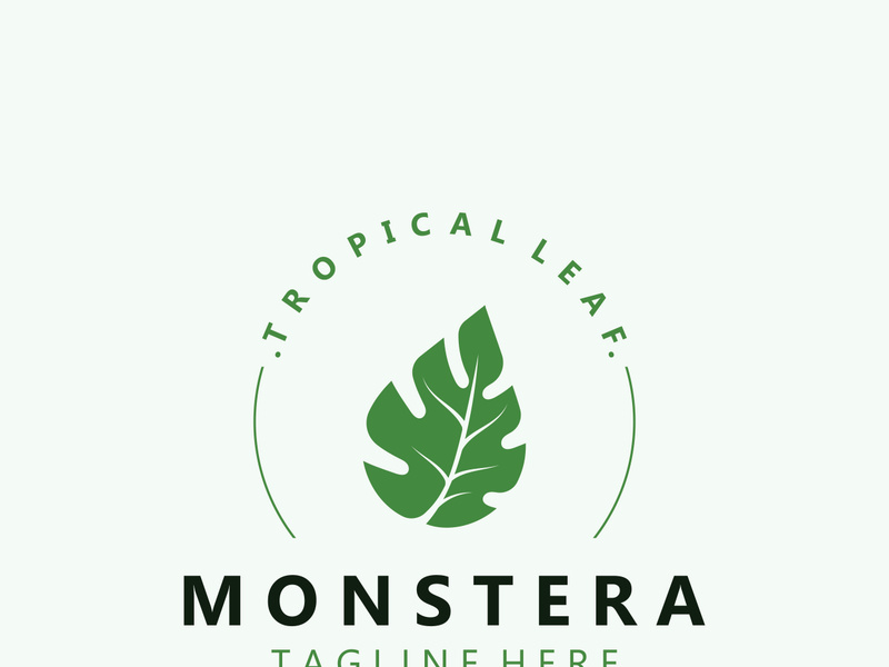 Monstera deliciosa leaf nature logo design, flat plant icon design illustration template