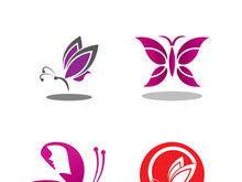 Butterfly logo icon vector design illustration