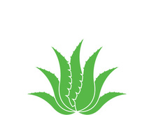 Aloe Vera logo icon design symbol beauty skin care