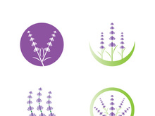 Lavender flower vector icon illustration design template