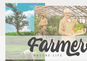 Katracy - Bold Script Font