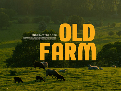 Worn Rural | Vintage Display
