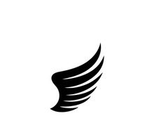 Wing illustration logo and symbol vector