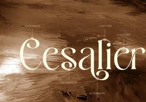 Bowtaris || ligature display serif