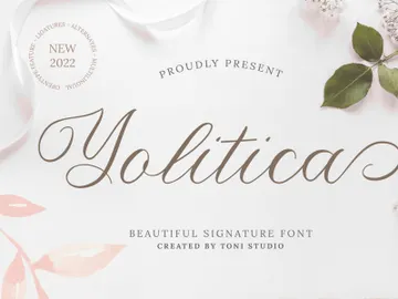 Yolitica preview picture
