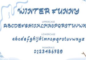 Winter Funny