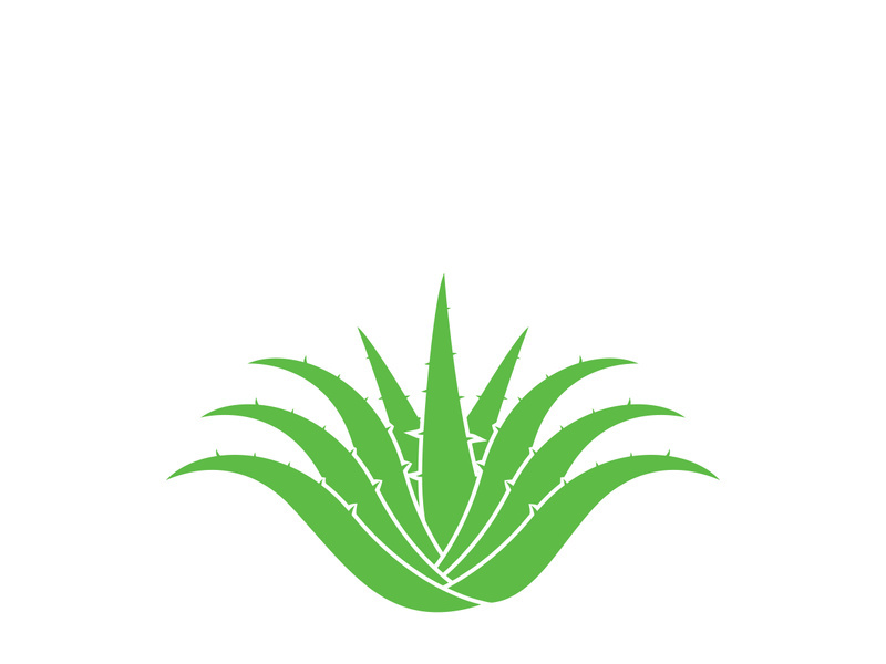 Aloe Vera logo icon design symbol beauty skin care