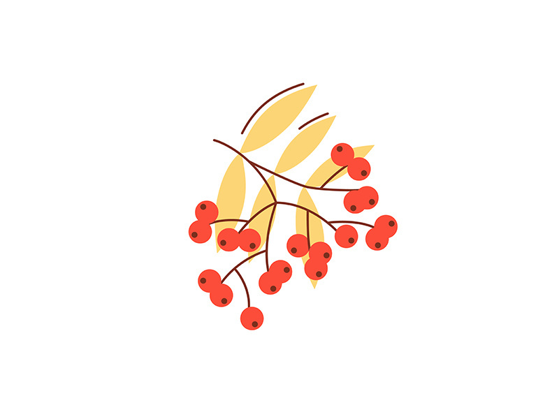 Rowanberry in fall season flat vector abstract element