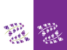 Fresh lavender flower logo vector flat design