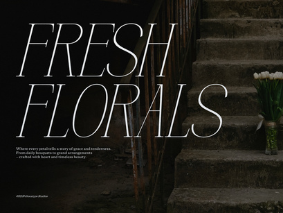 Hustasea | Modern Display Serif