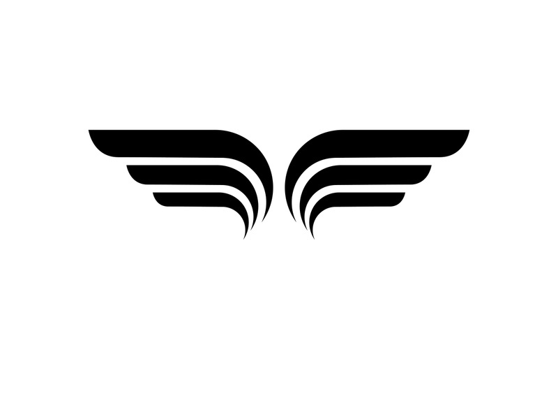 Black wing falcon bird logo